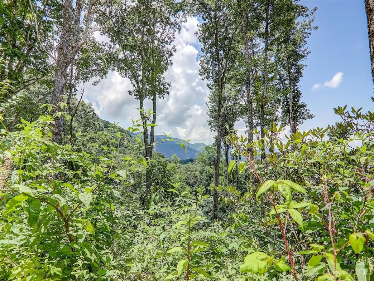 MLS #CAR4057489 image #2