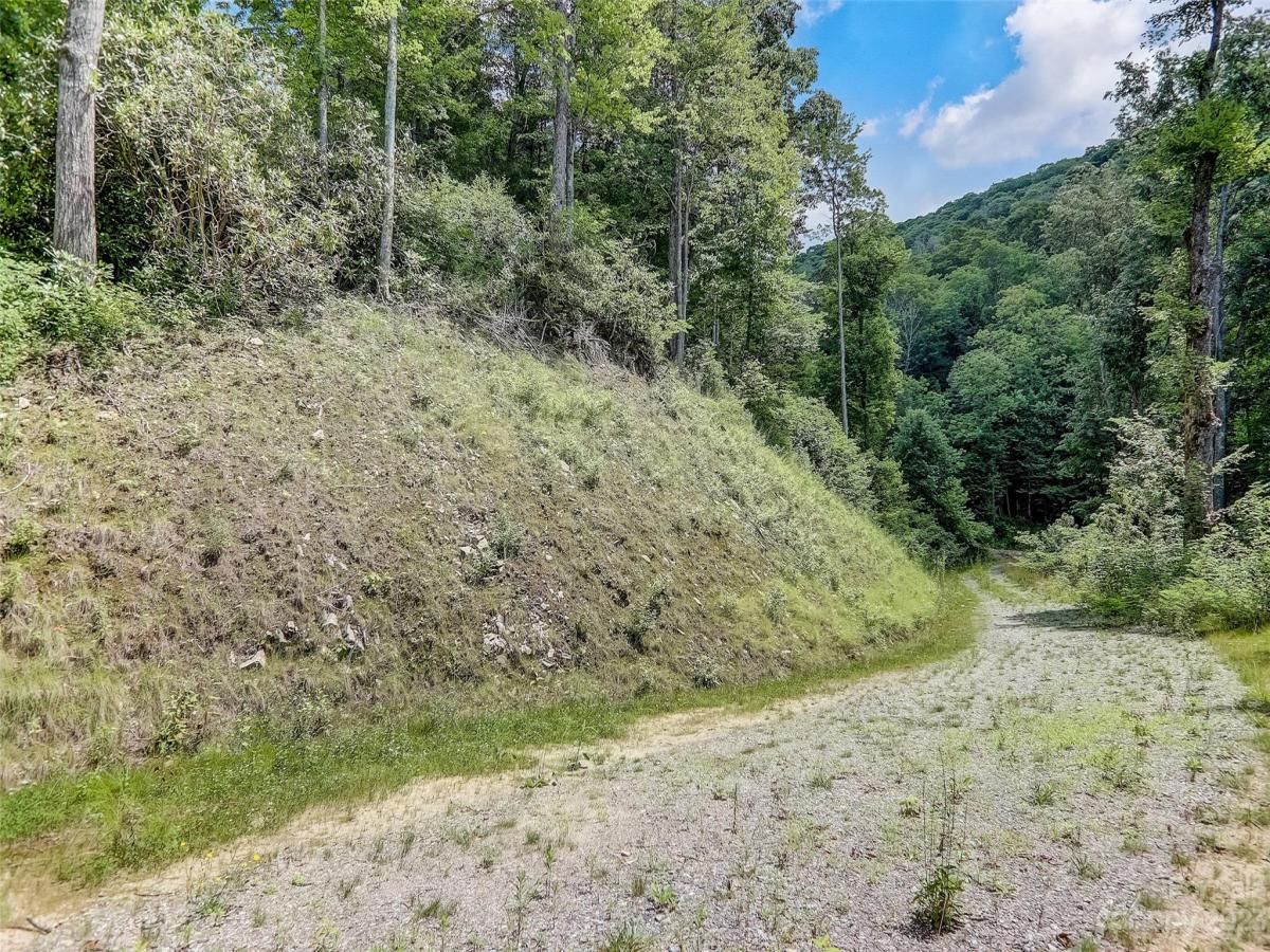 MLS #CAR4057489 image #4