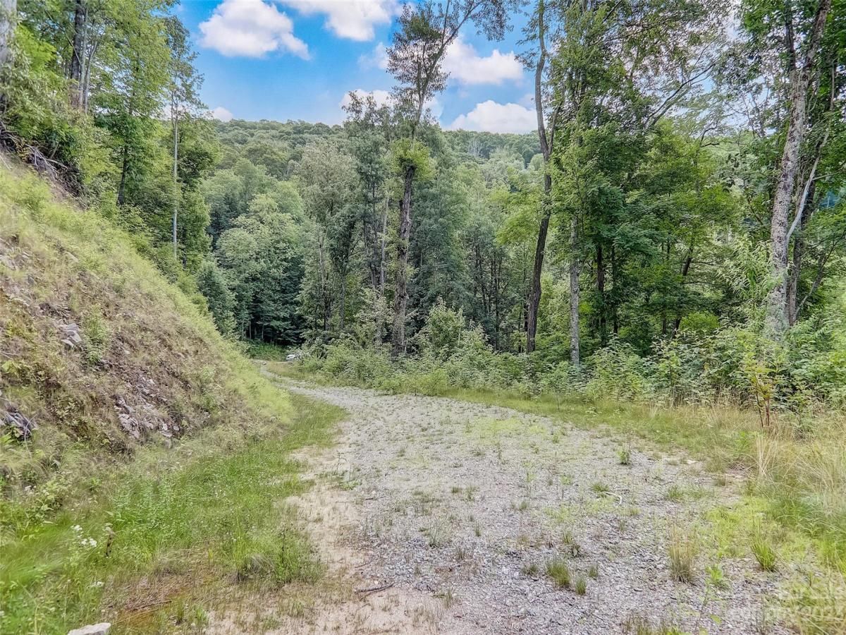 MLS #CAR4057489 image #5