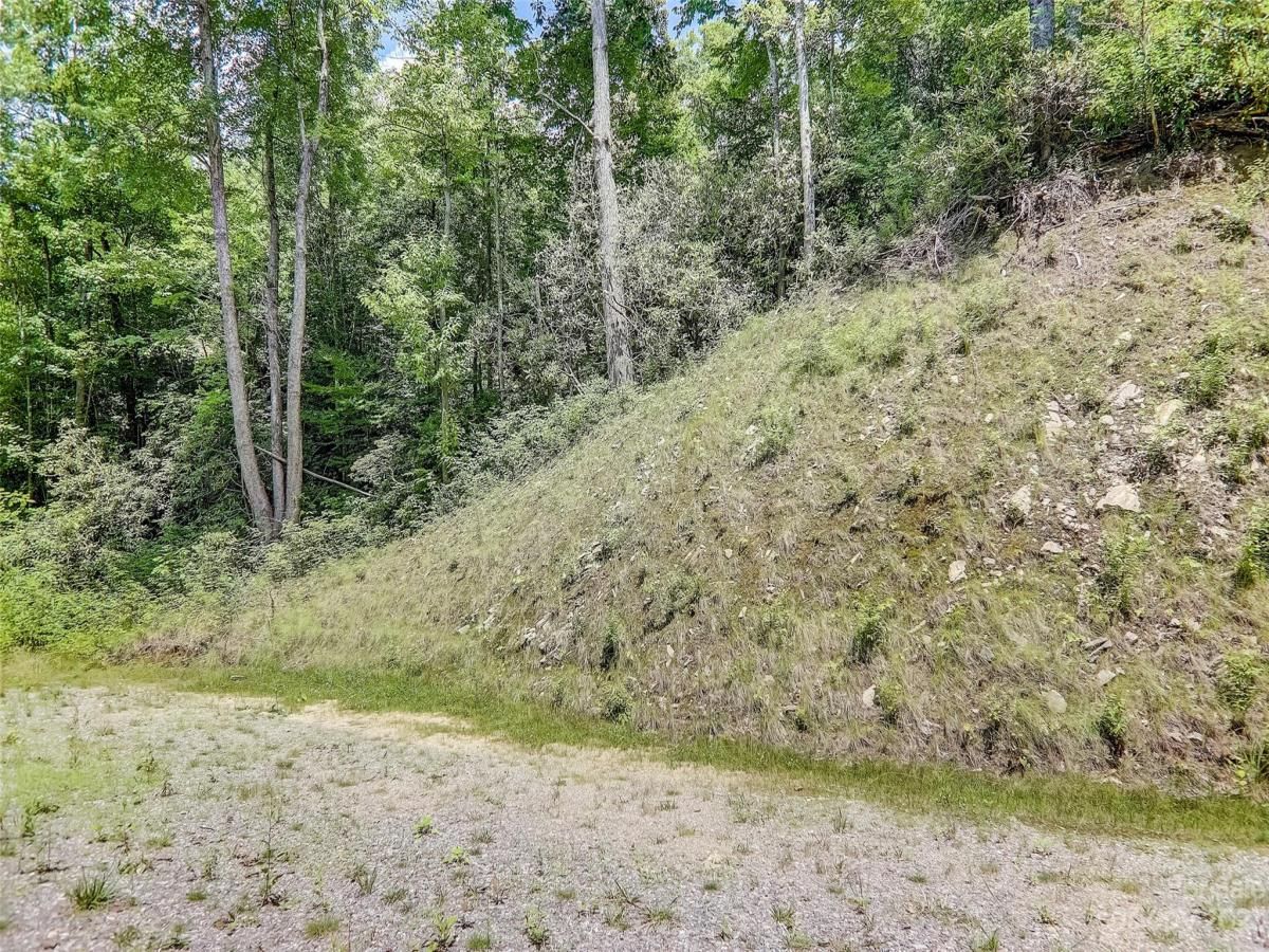 MLS #CAR4057489 image #8