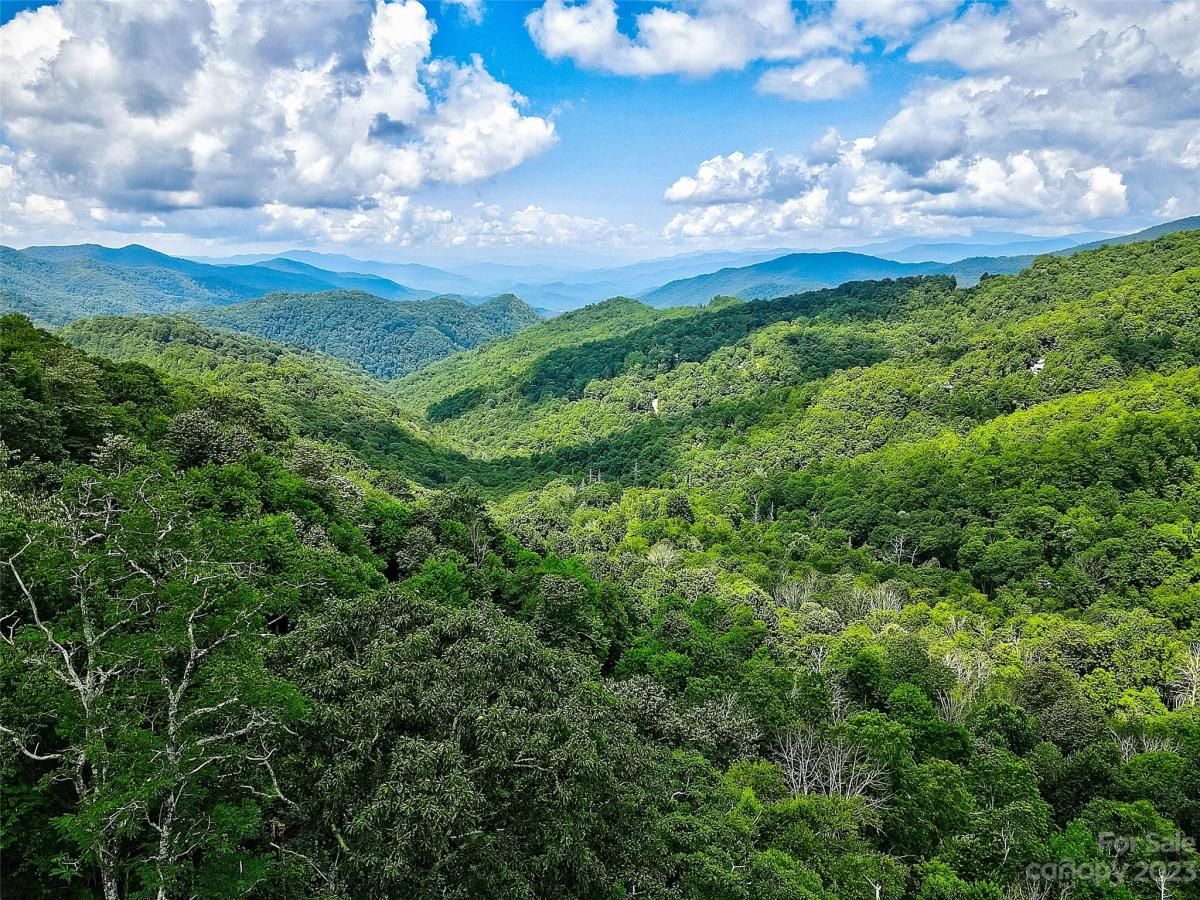 MLS #CAR4057489 image #9