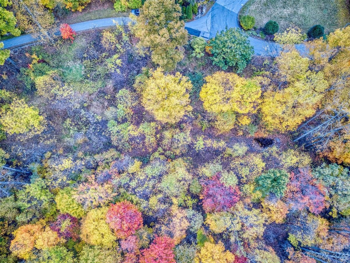 MLS #CAR4057912 image #3