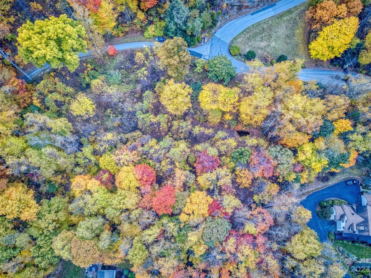 MLS #CAR4057912 image #4