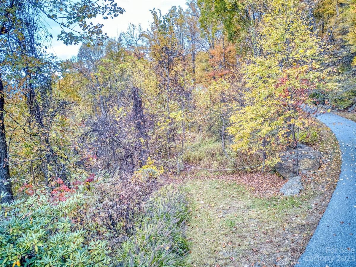 MLS #CAR4057912 image #5