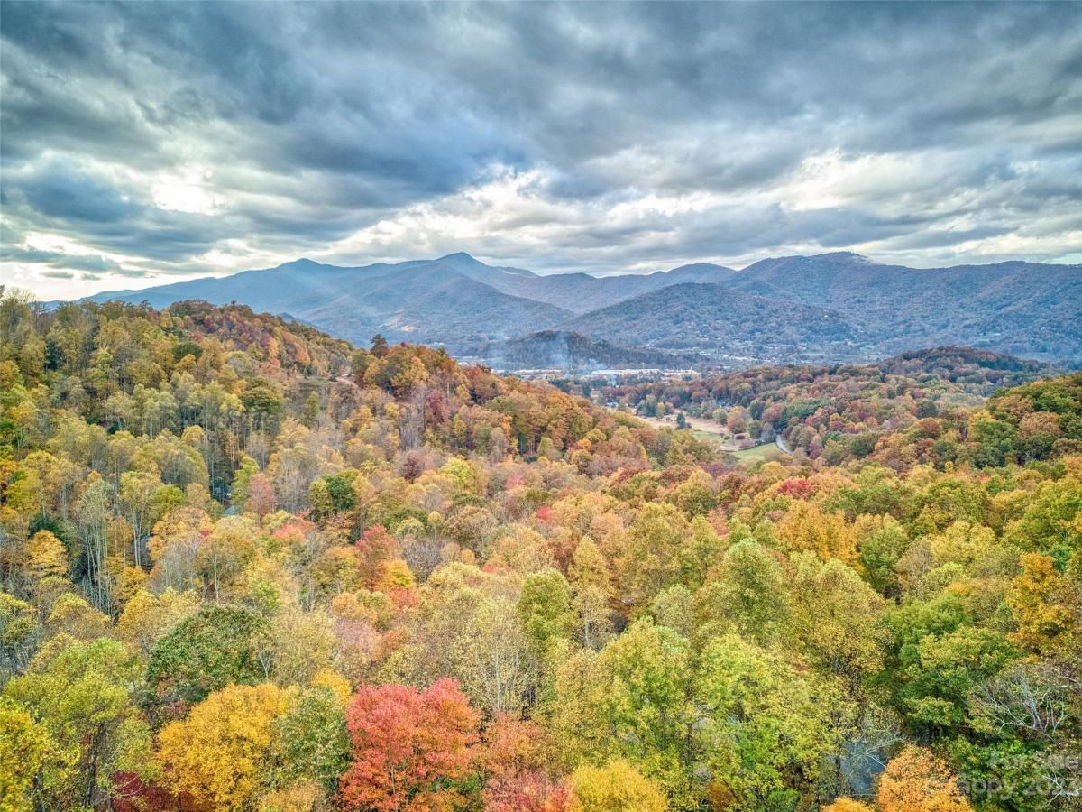 MLS #CAR4057912 image #6