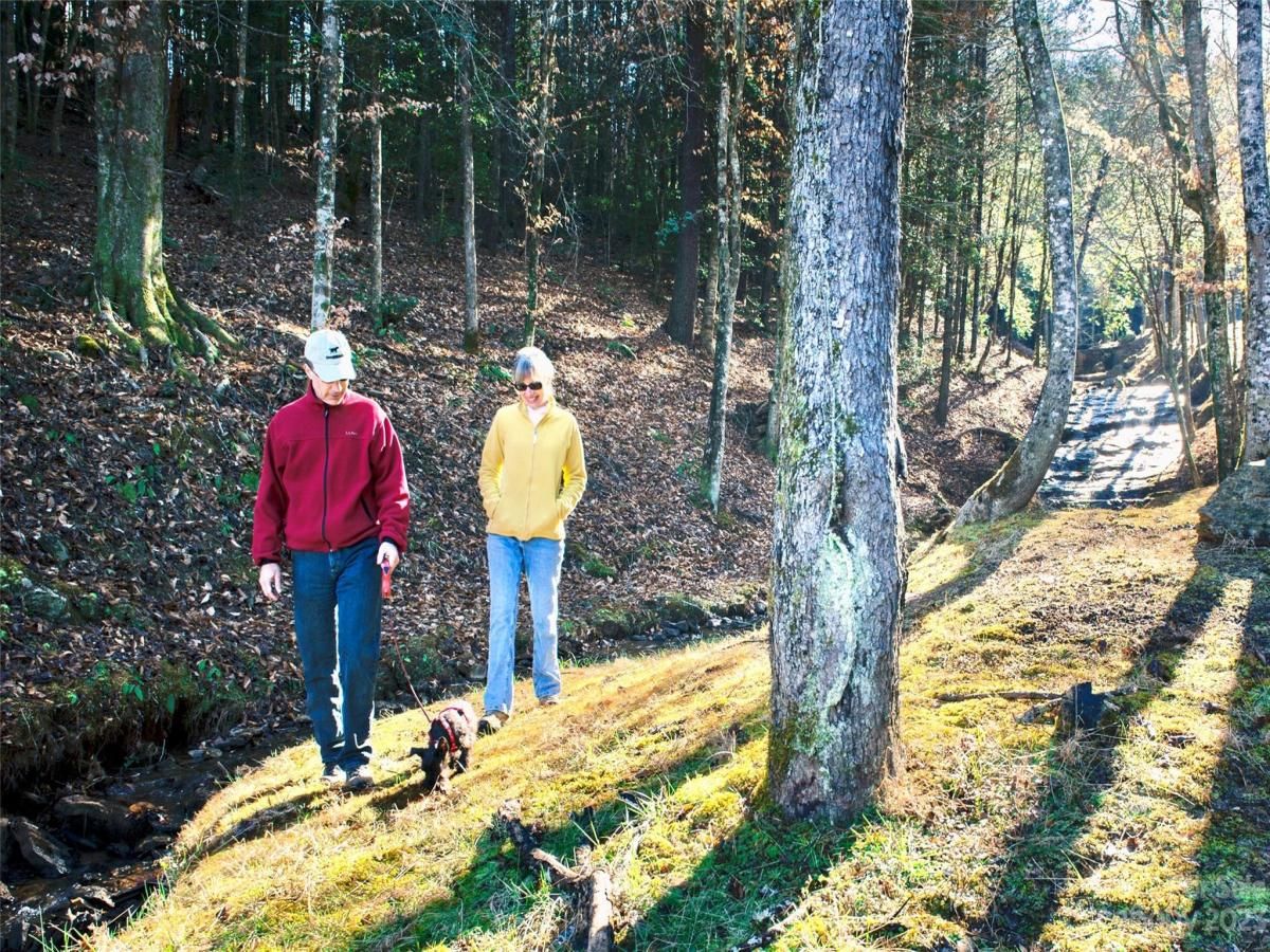 MLS #CAR4058923 image #14