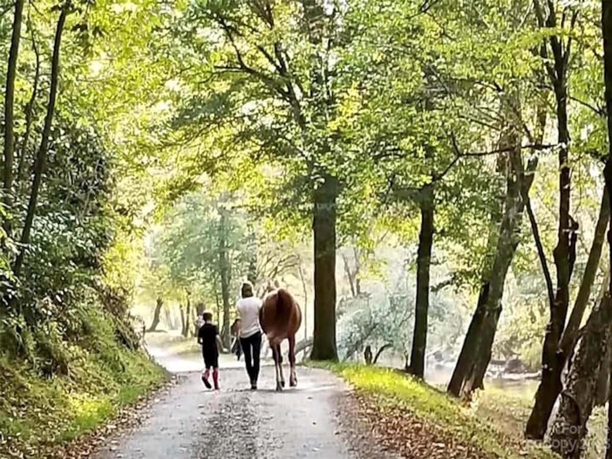 MLS #CAR4058923 image #19