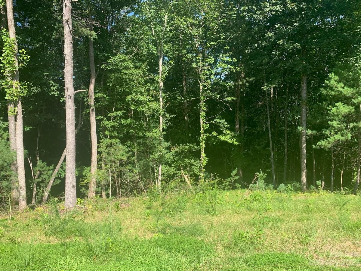 MLS #CAR4058923 image #4