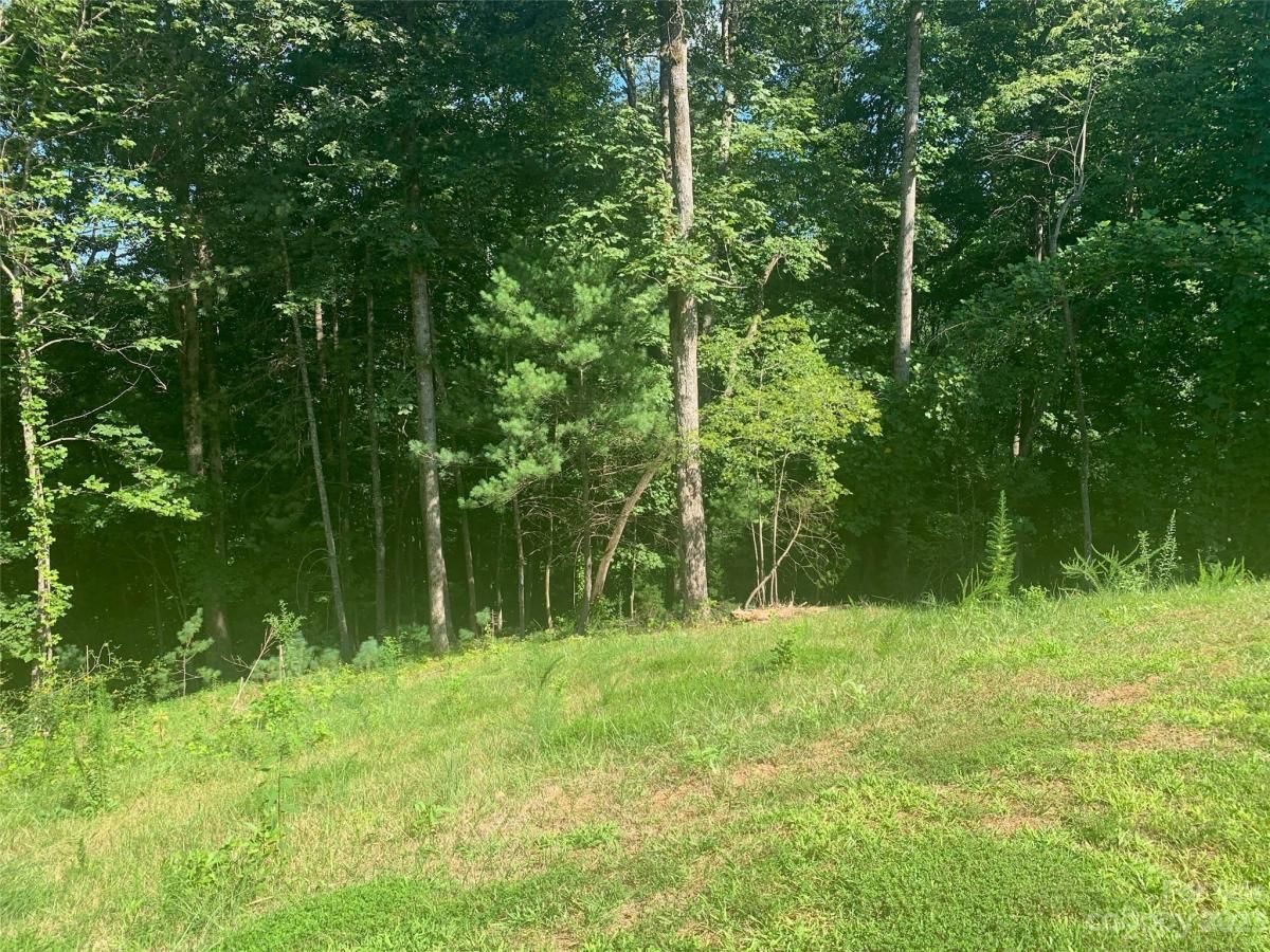 MLS #CAR4058923 image #5