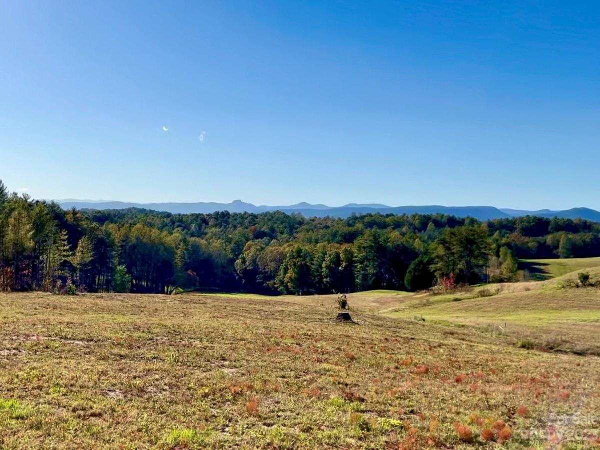 MLS #CAR4060525 image #2