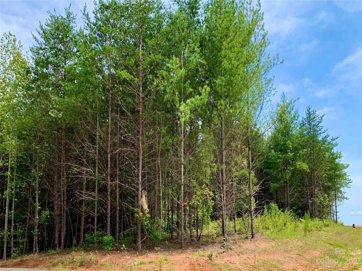 MLS #CAR4060525 image #3