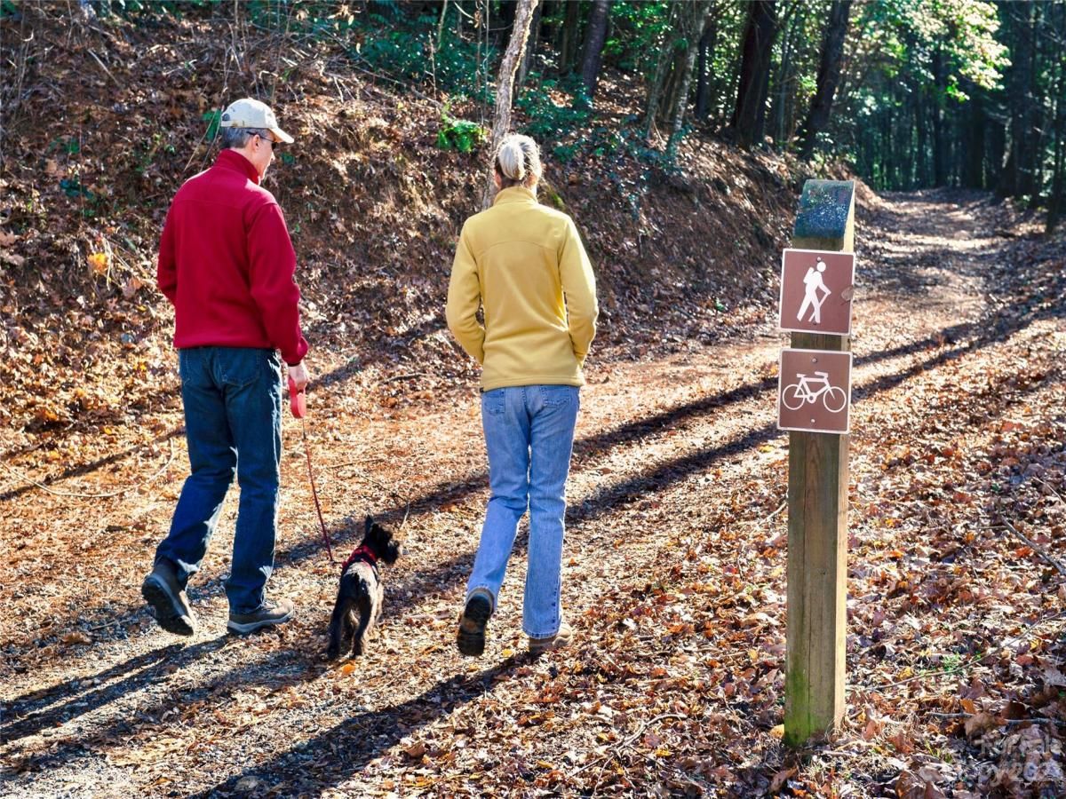 MLS #CAR4060525 image #33