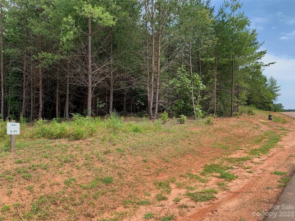 MLS #CAR4060525 image #5