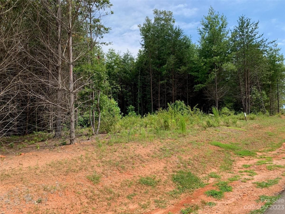 MLS #CAR4060525 image #6