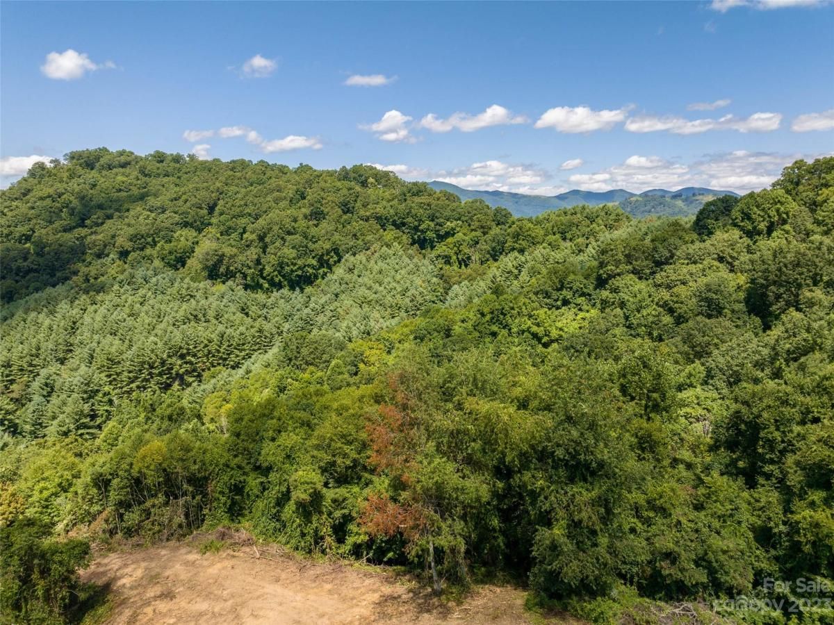 MLS #CAR4062877 image #10