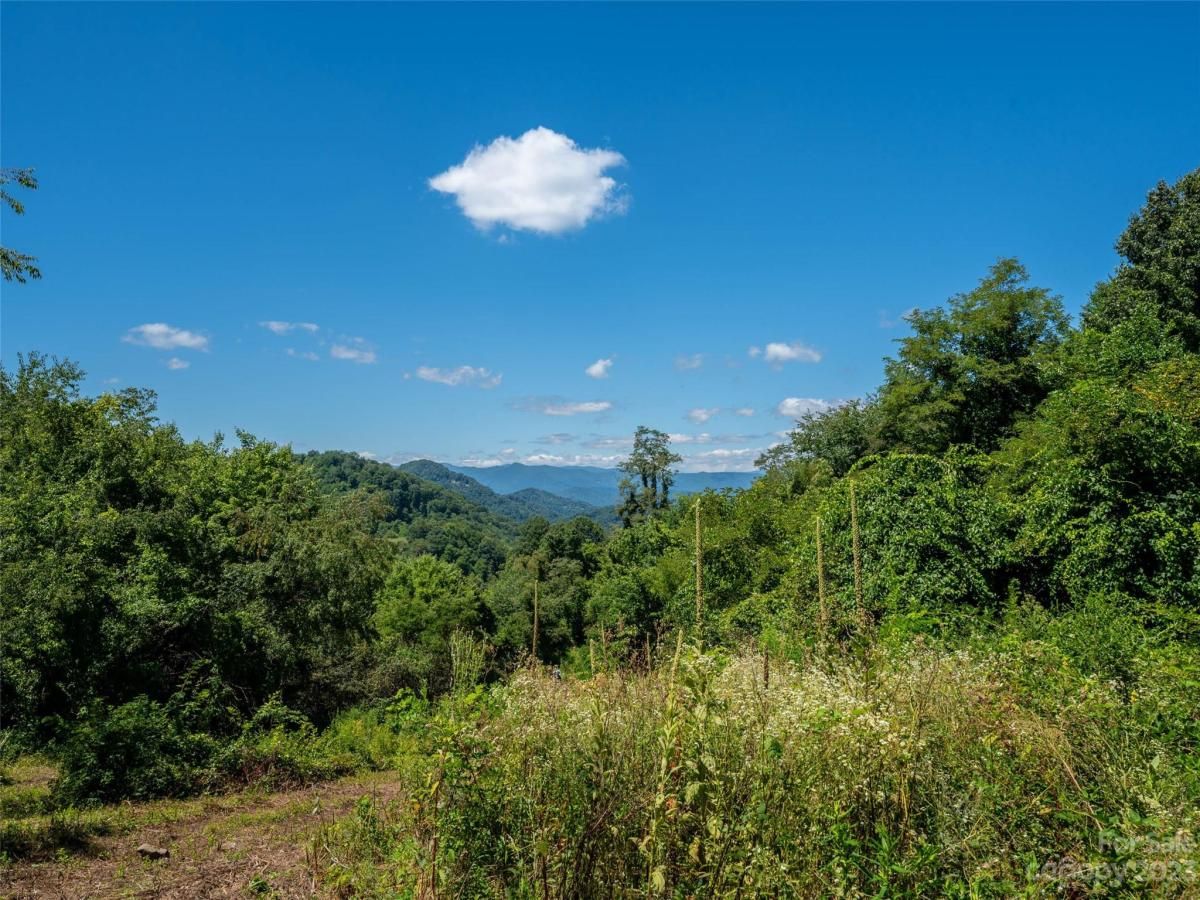 MLS #CAR4062877 image #3