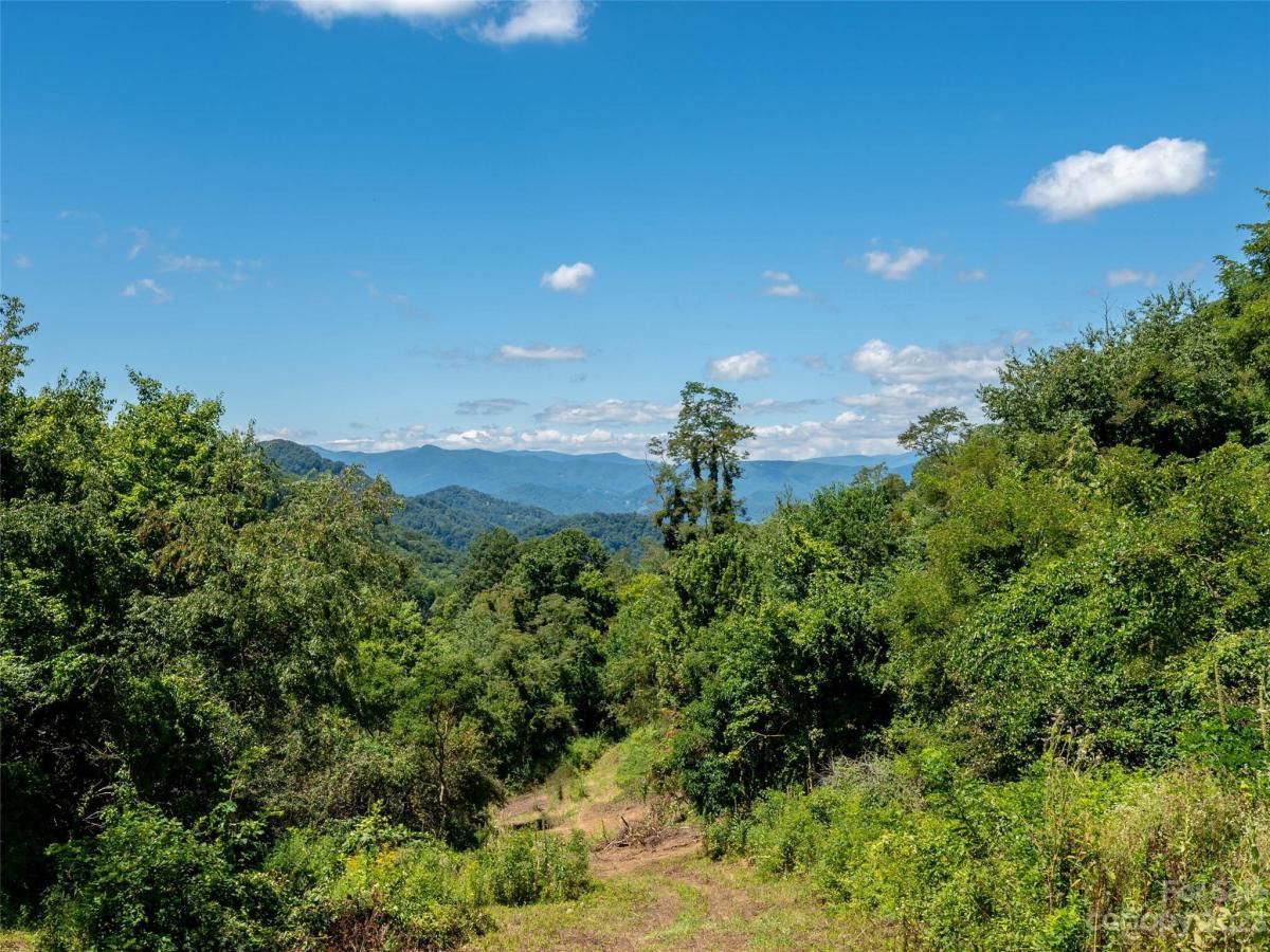 MLS #CAR4062877 image #4