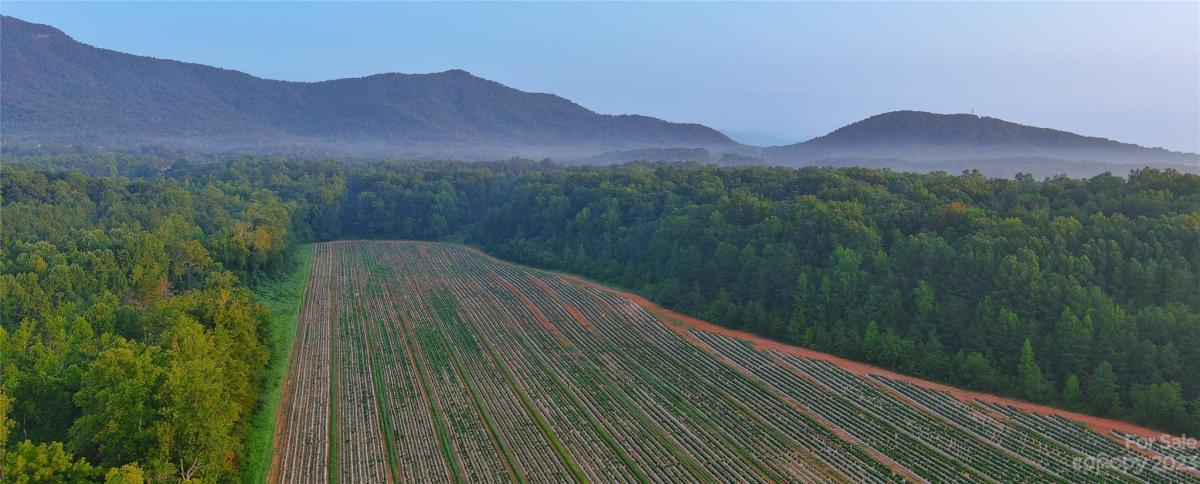 MLS #CAR4066028 image #0