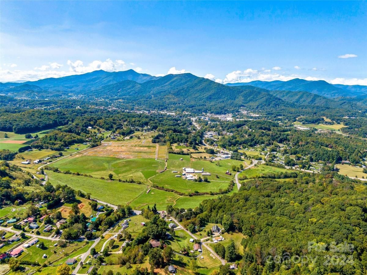 MLS #CAR4066391 image #6