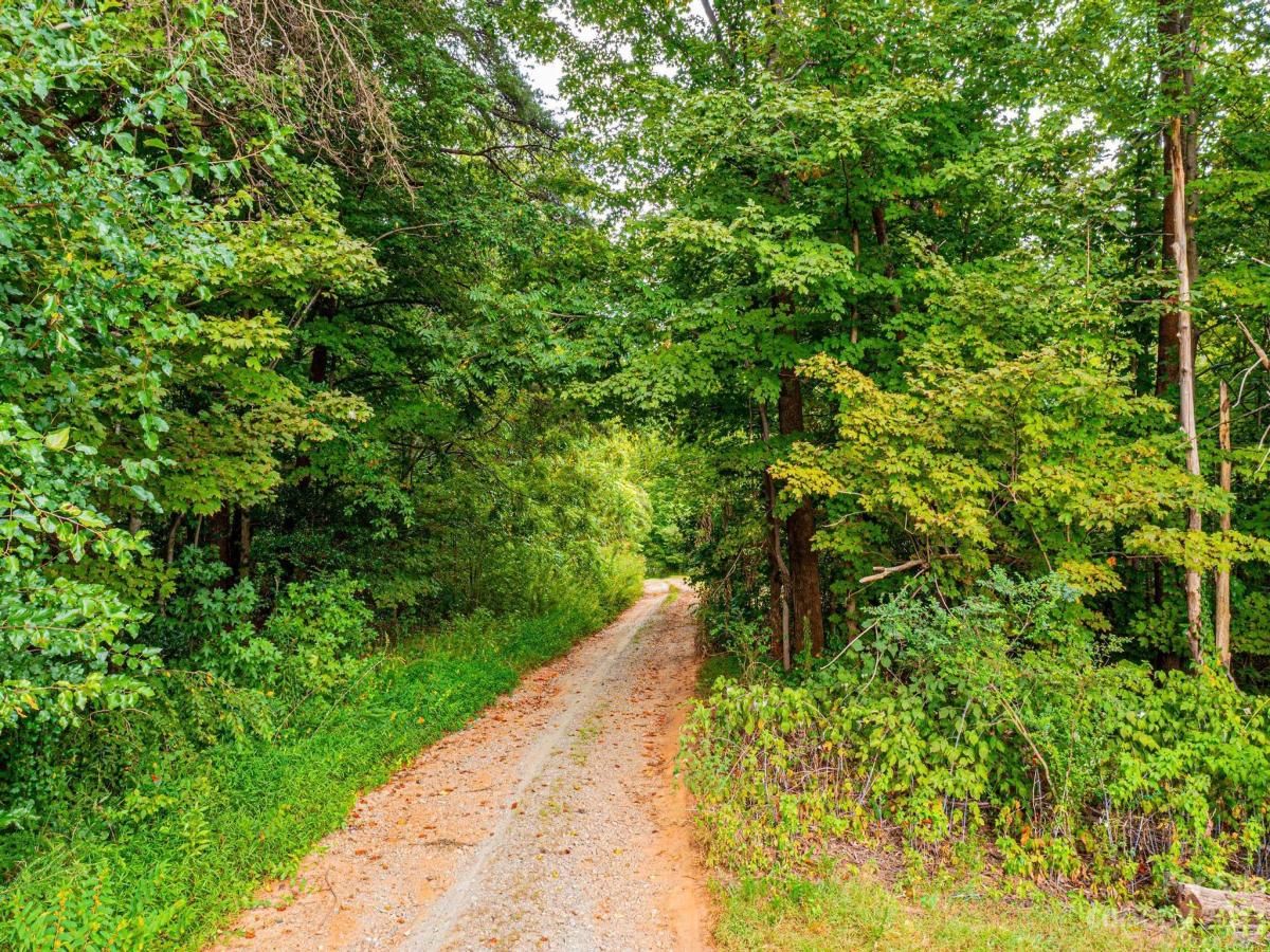 MLS #CAR4067590 image #4