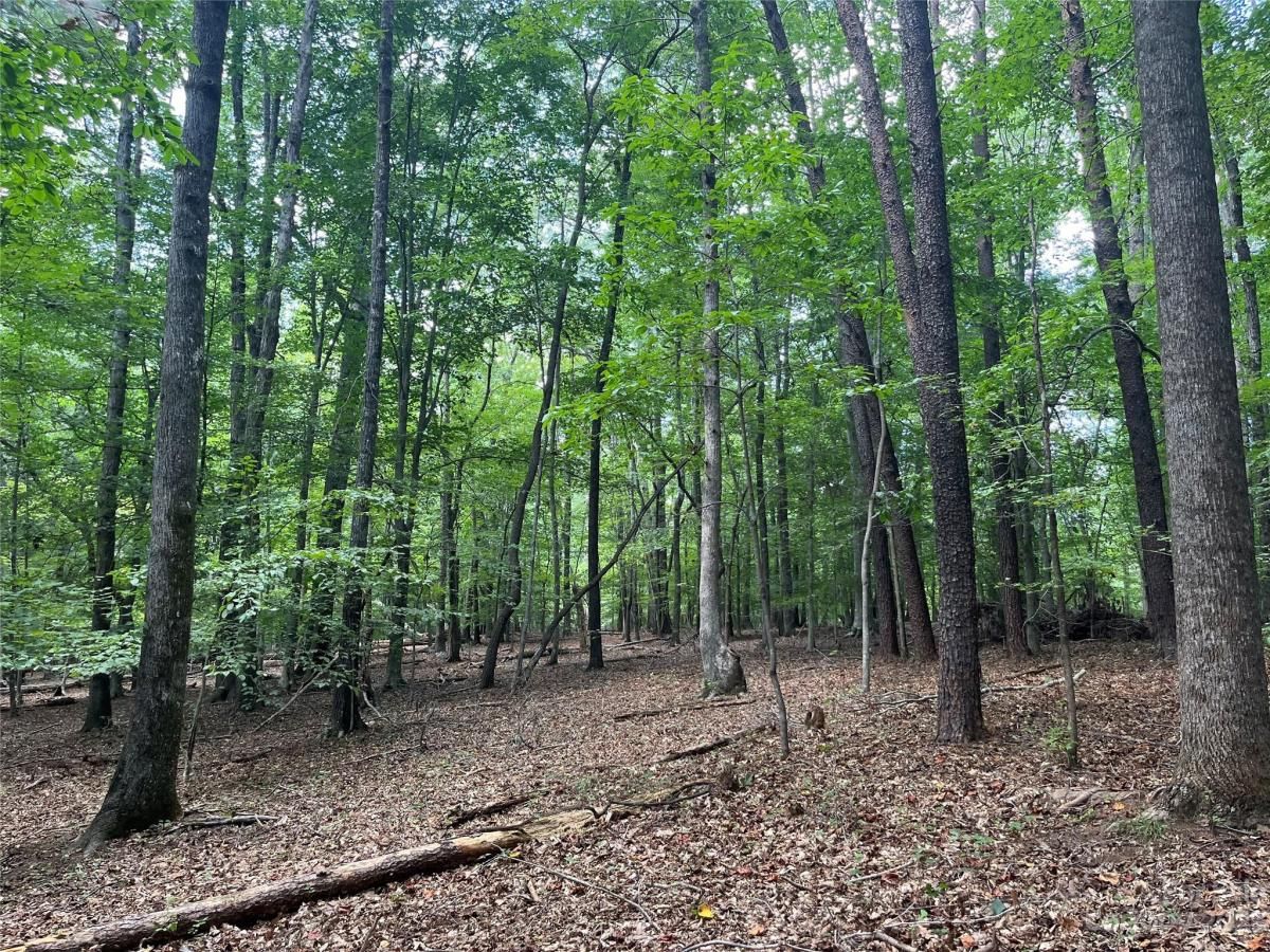 MLS #CAR4068729 image #0