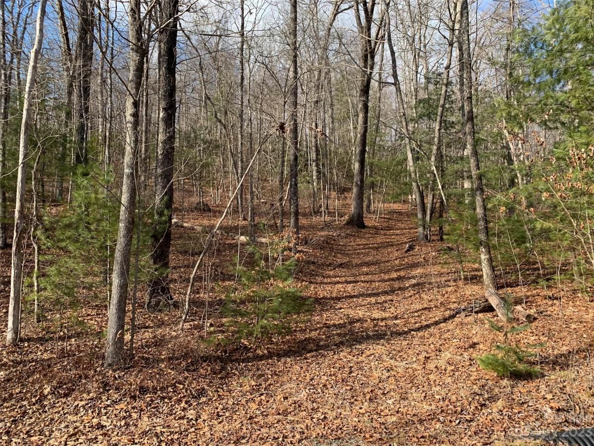 MLS #CAR4069791 image #1