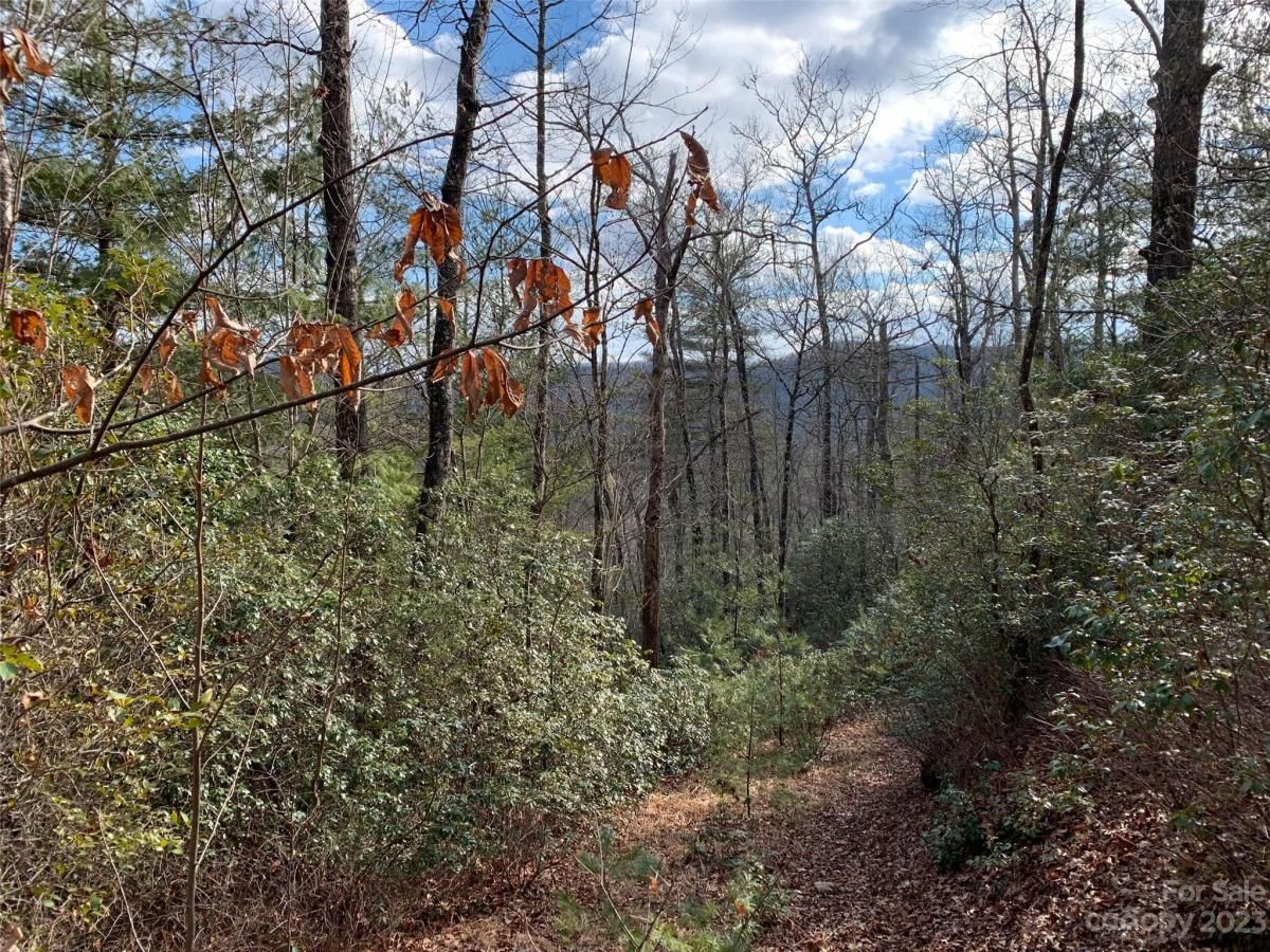 MLS #CAR4069791 image #2