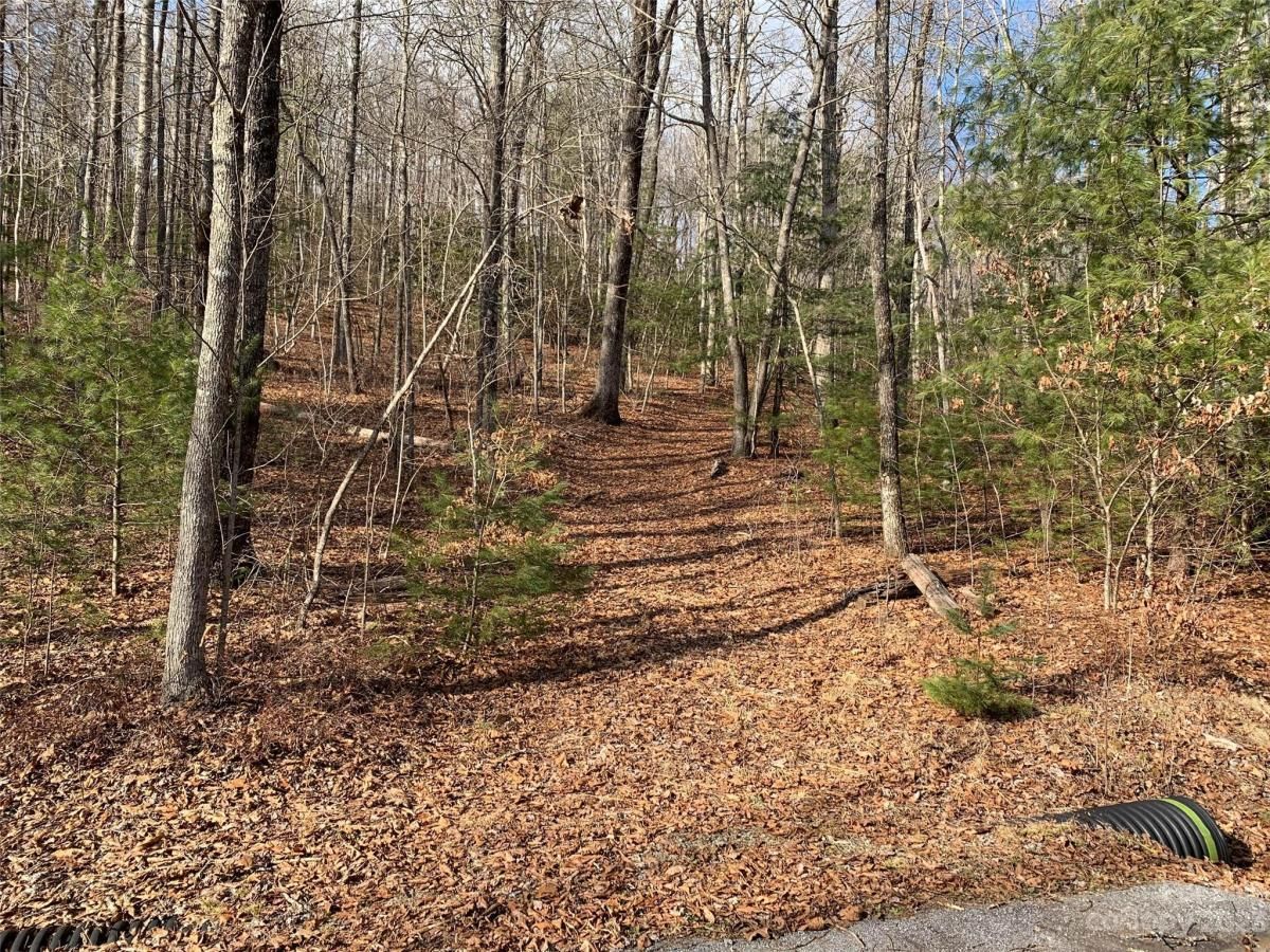 MLS #CAR4069791 image #3