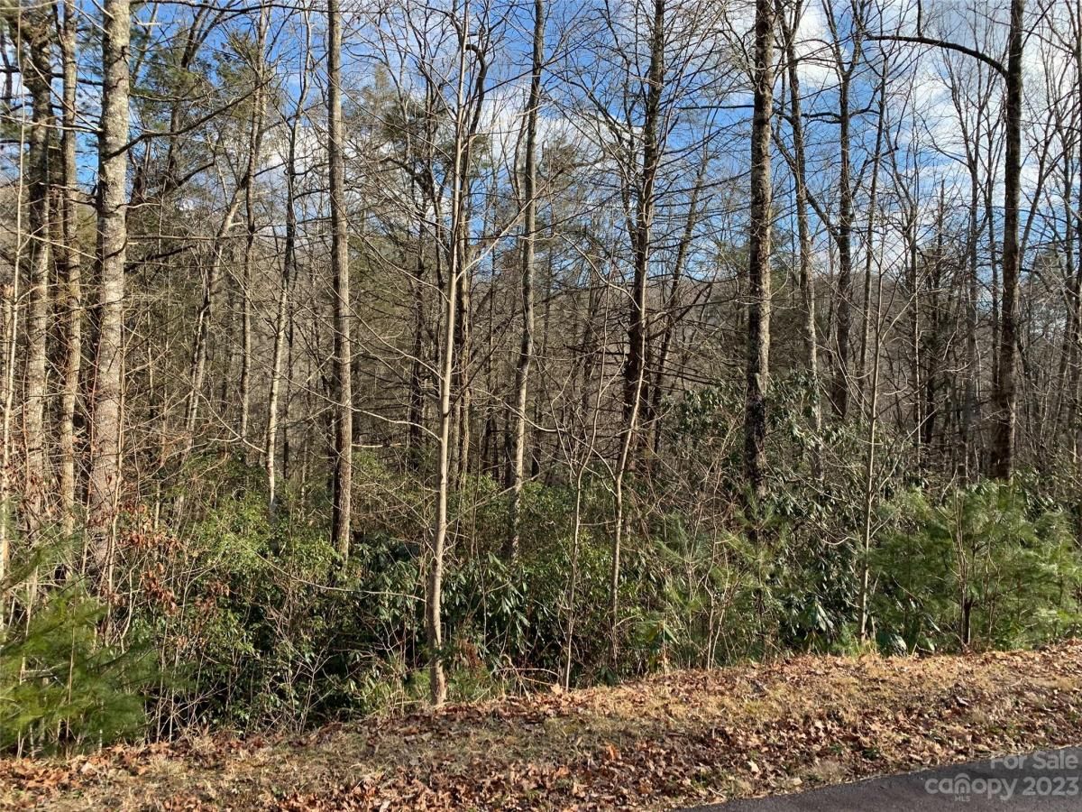 MLS #CAR4069802 image #1