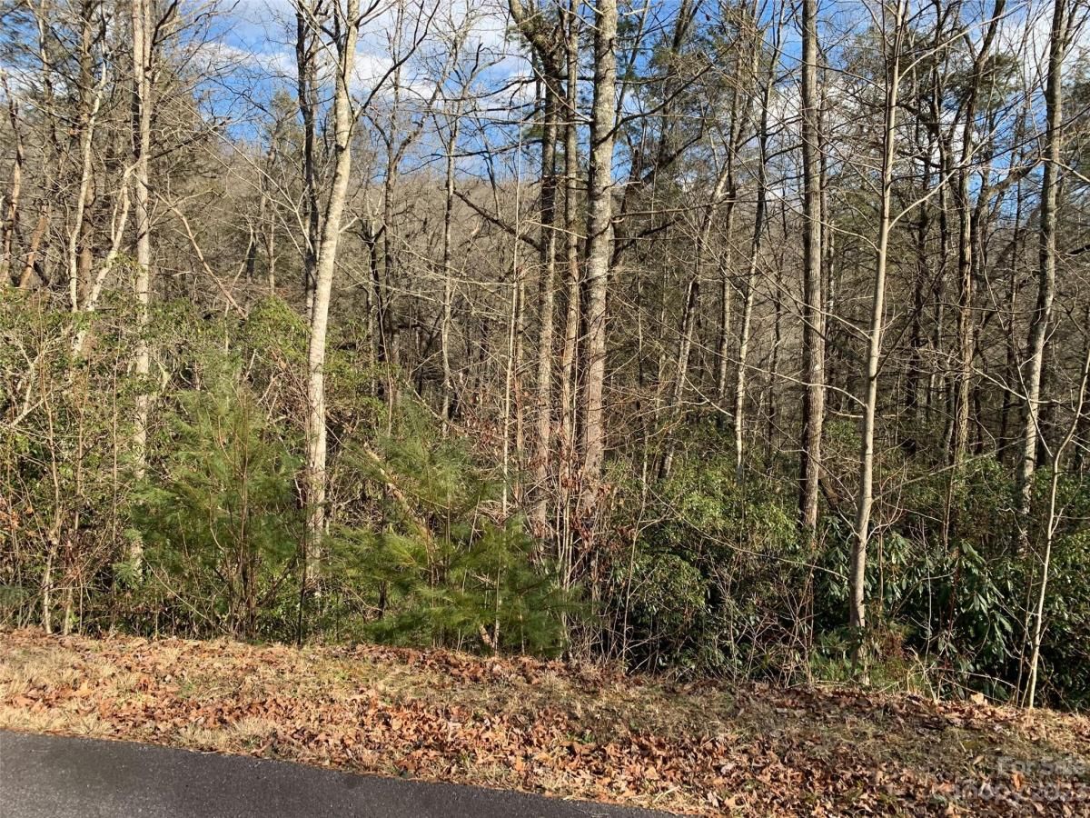 MLS #CAR4069802 image #2