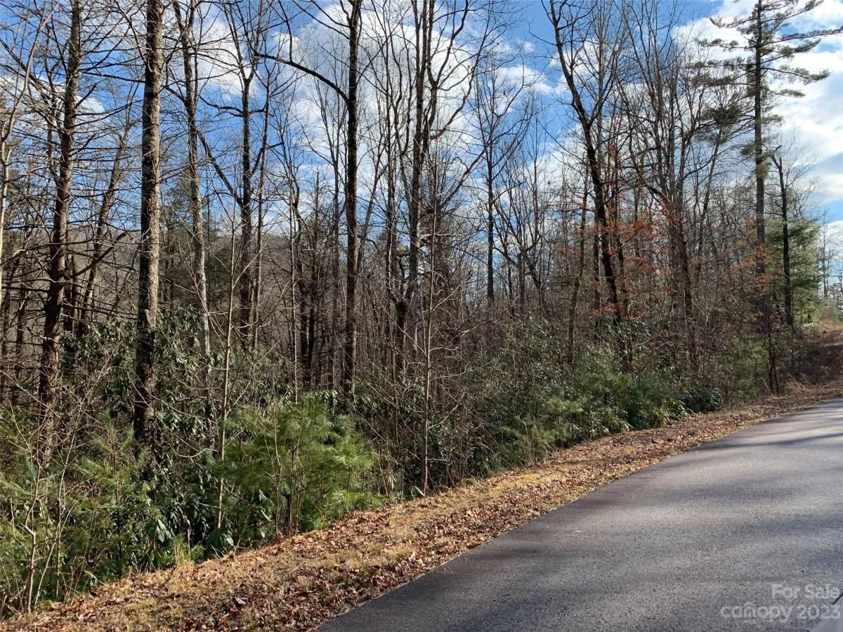 MLS #CAR4069802 image #3