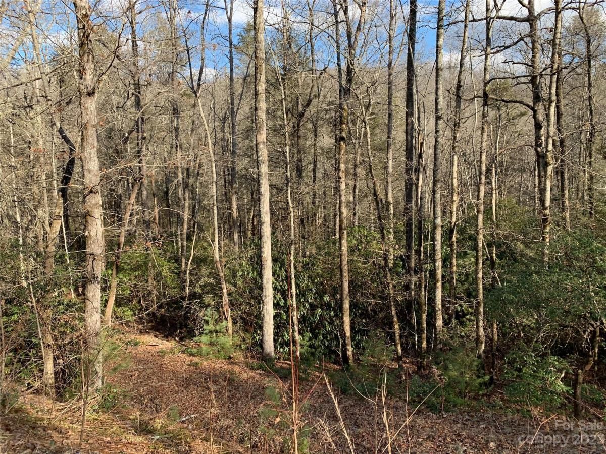 MLS #CAR4069802 image #4