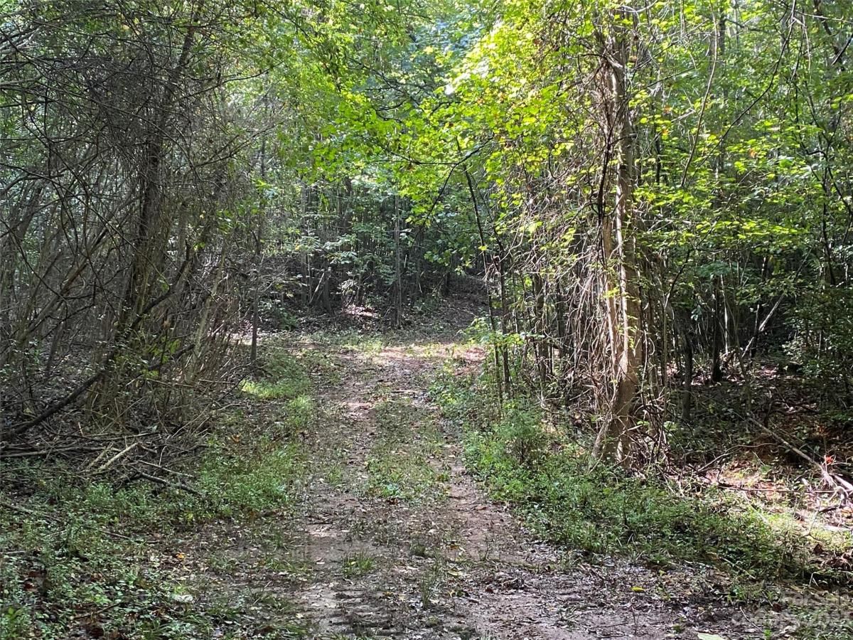 MLS #CAR4069902 image #6