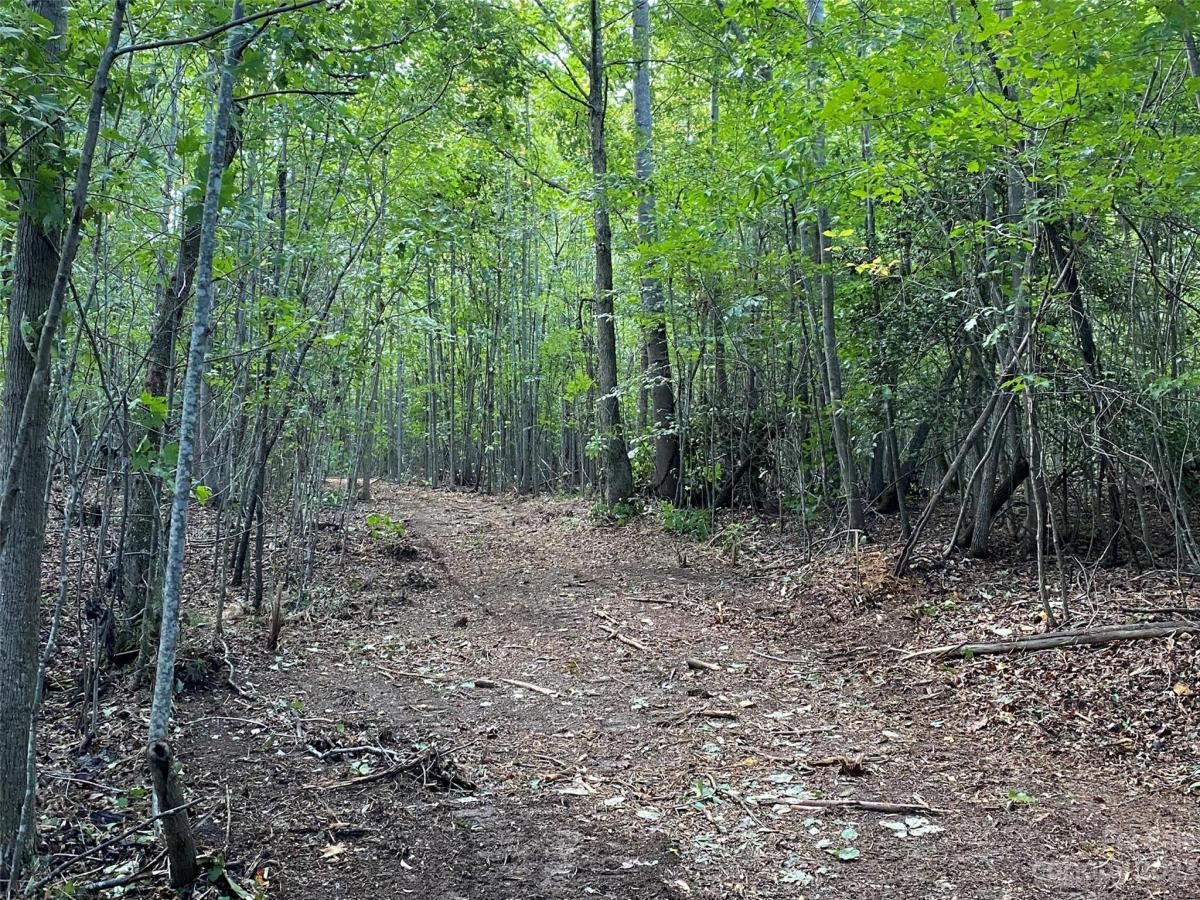 MLS #CAR4069902 image #7