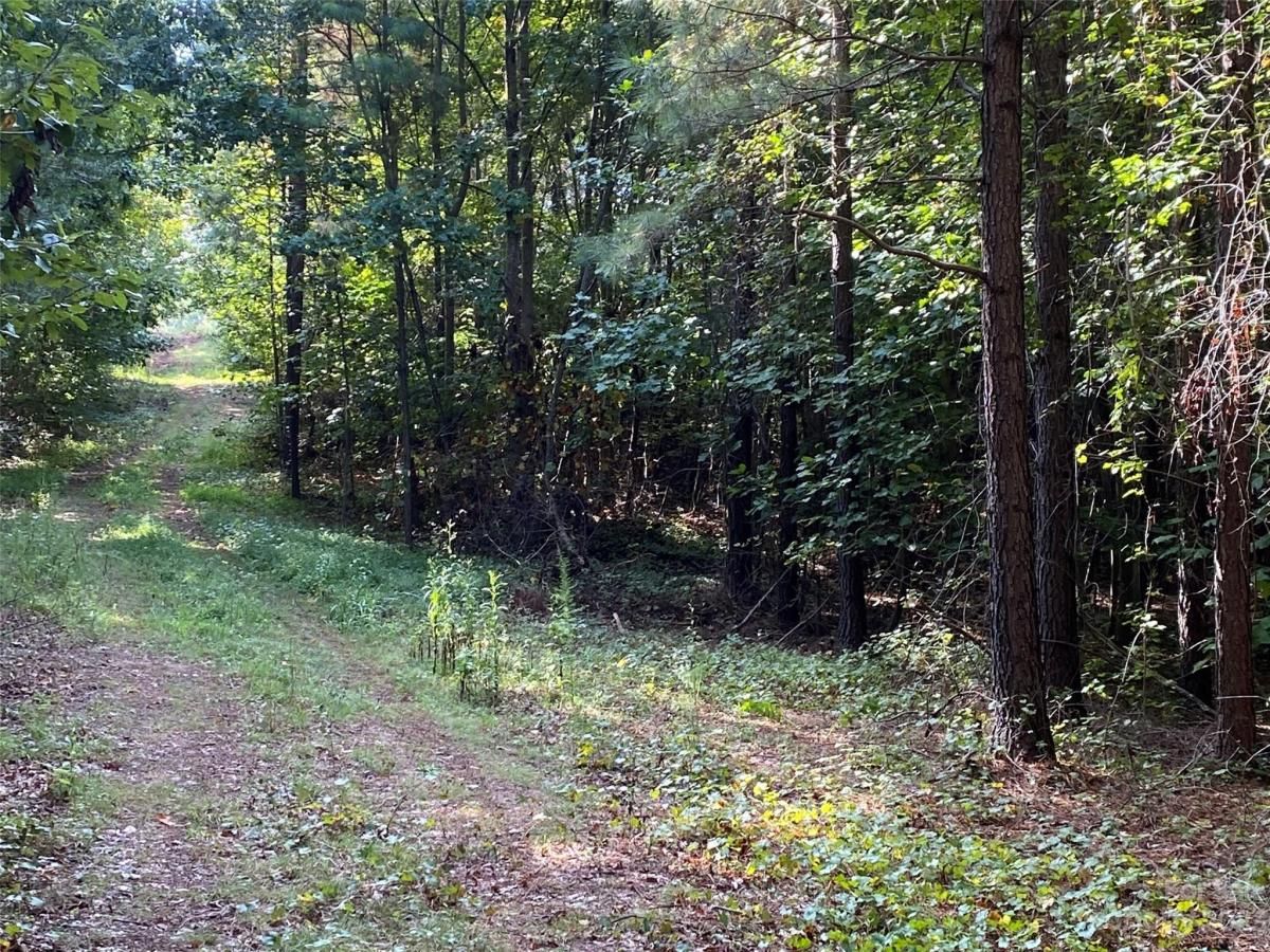 MLS #CAR4069902 image #8