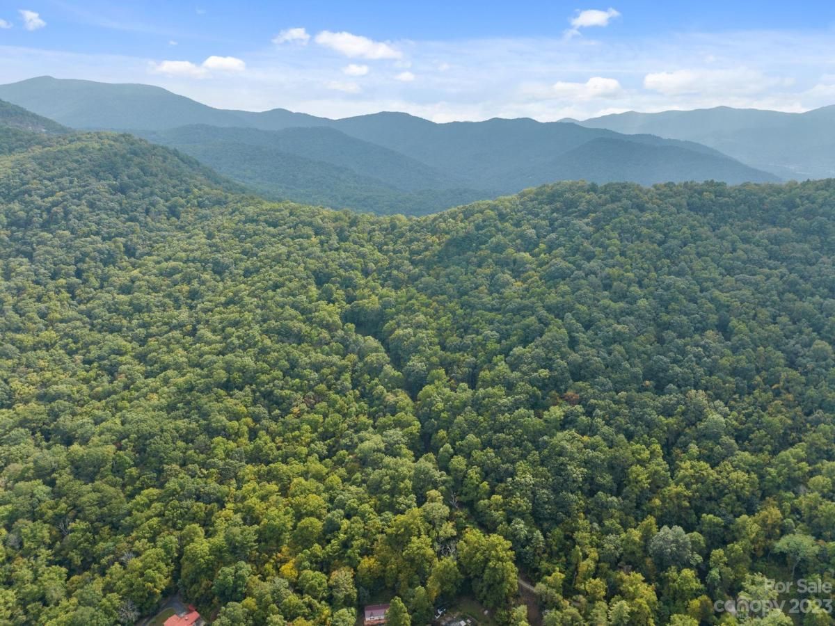 MLS #CAR4069987 image #11