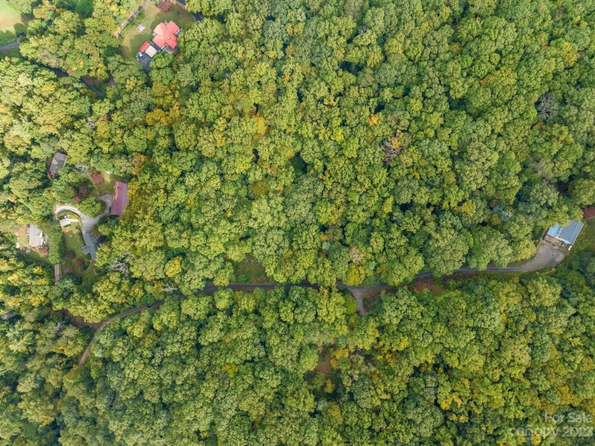 MLS #CAR4069987 image #14