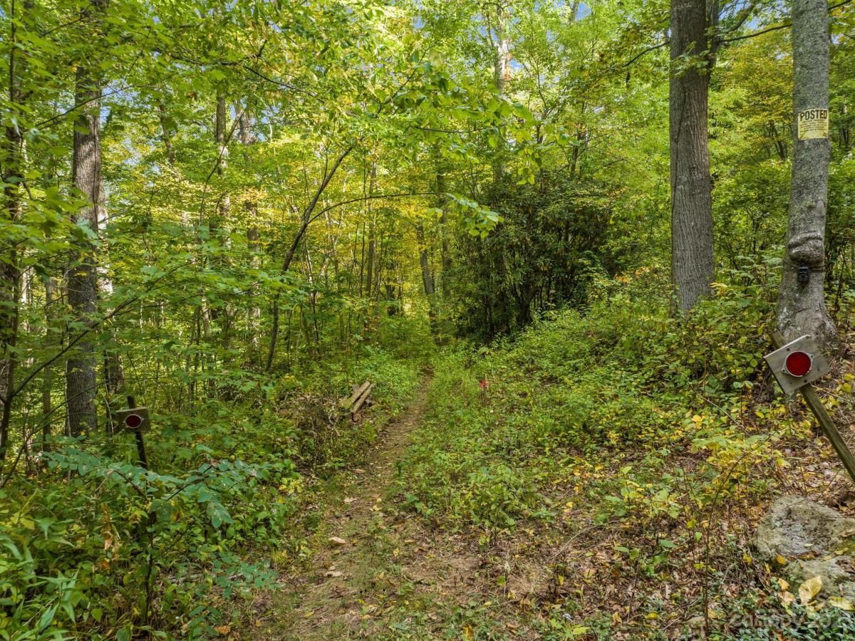 MLS #CAR4069987 image #21