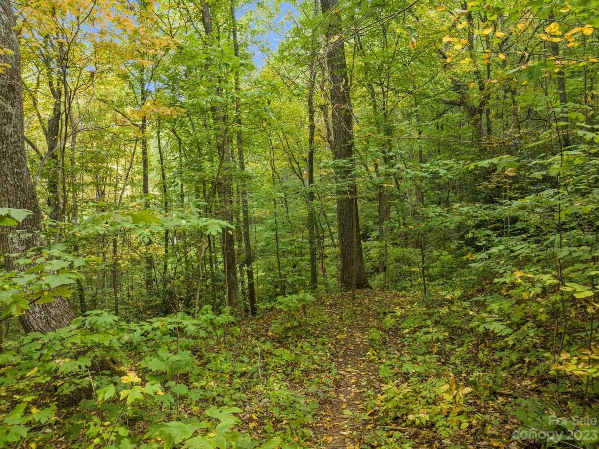 MLS #CAR4069987 image #22