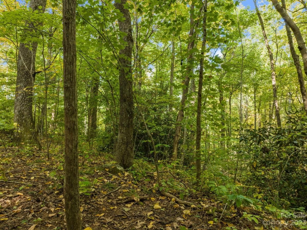 MLS #CAR4069987 image #23