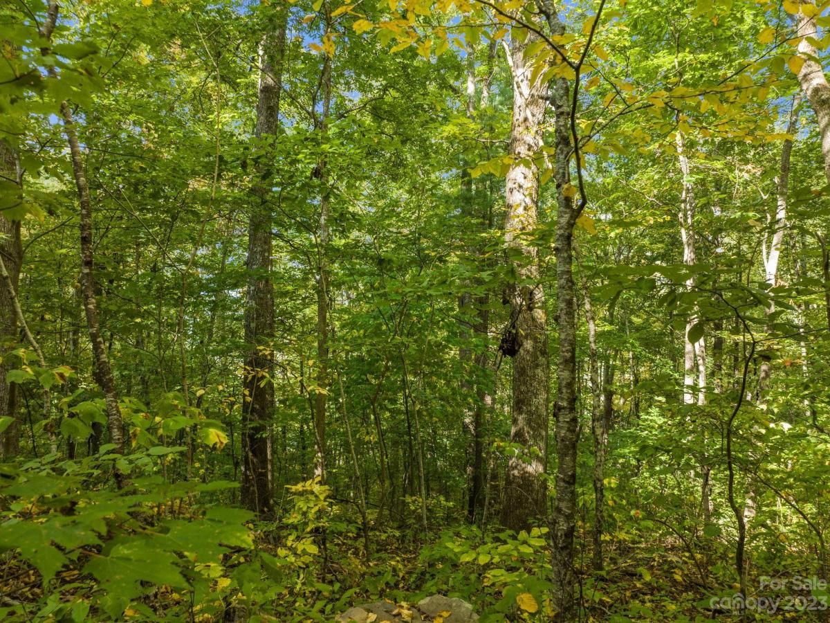 MLS #CAR4069987 image #24