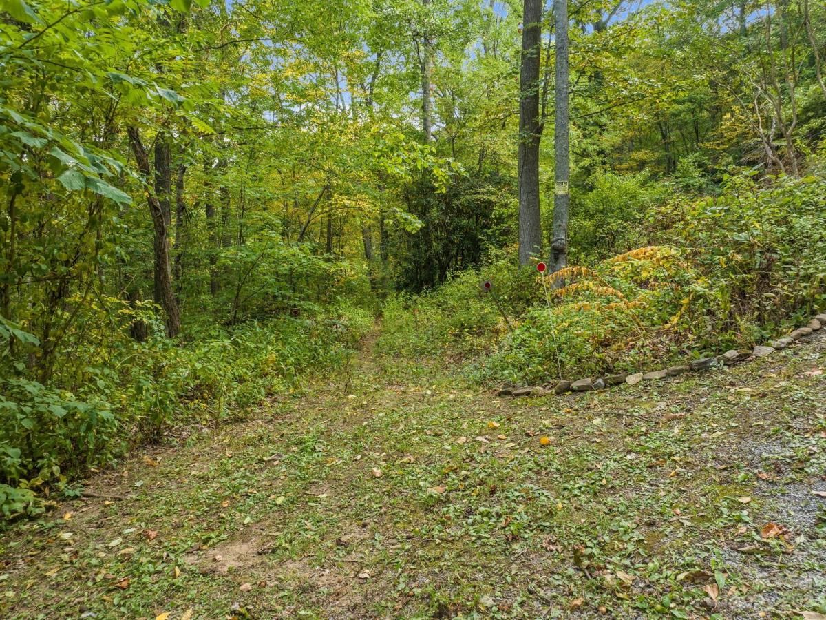 MLS #CAR4069987 image #3