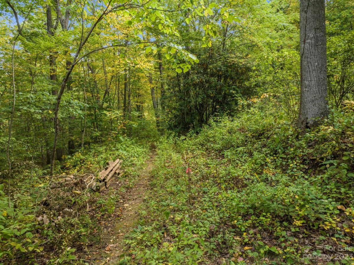 MLS #CAR4069987 image #4