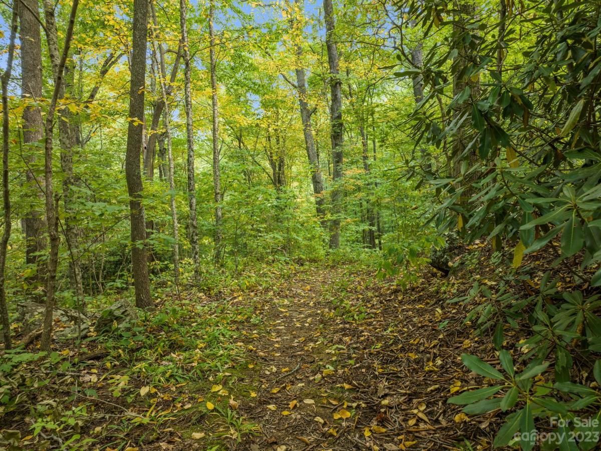 MLS #CAR4069987 image #5