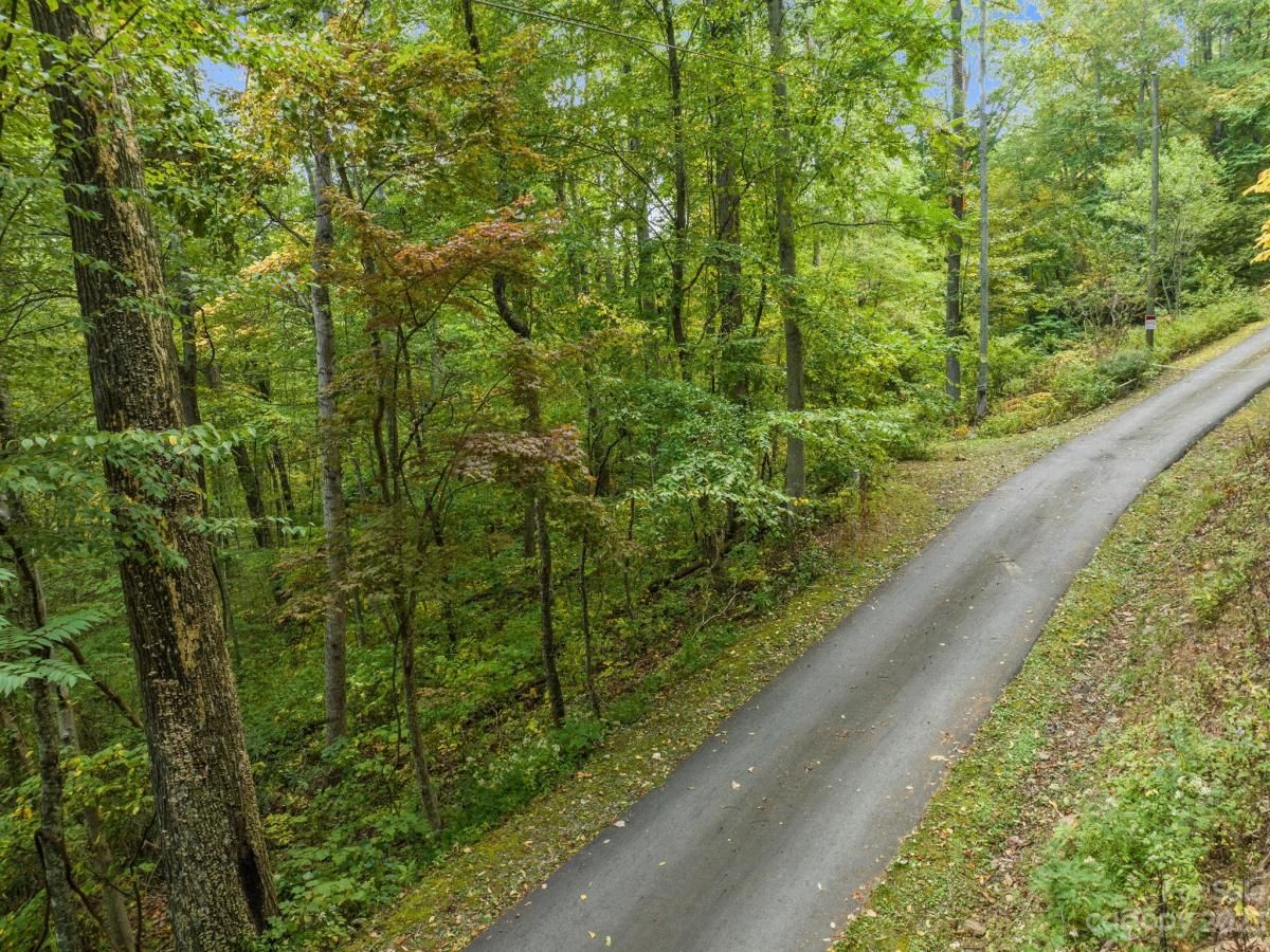 MLS #CAR4069987 image #6