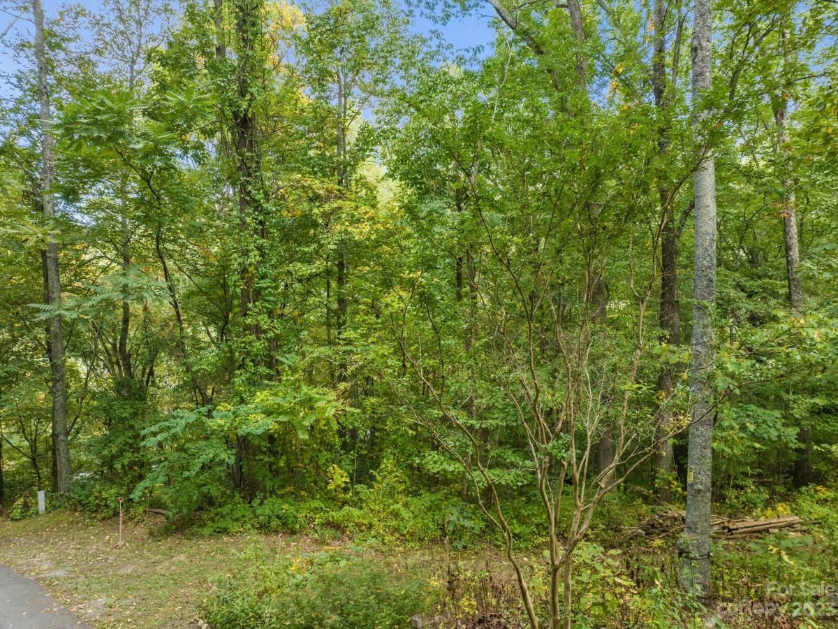 MLS #CAR4069987 image #7