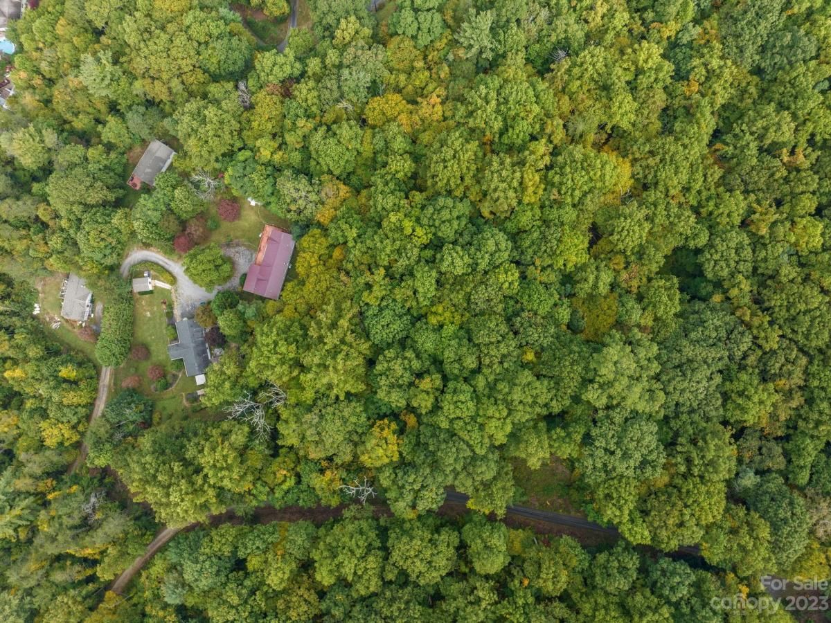 MLS #CAR4069987 image #8