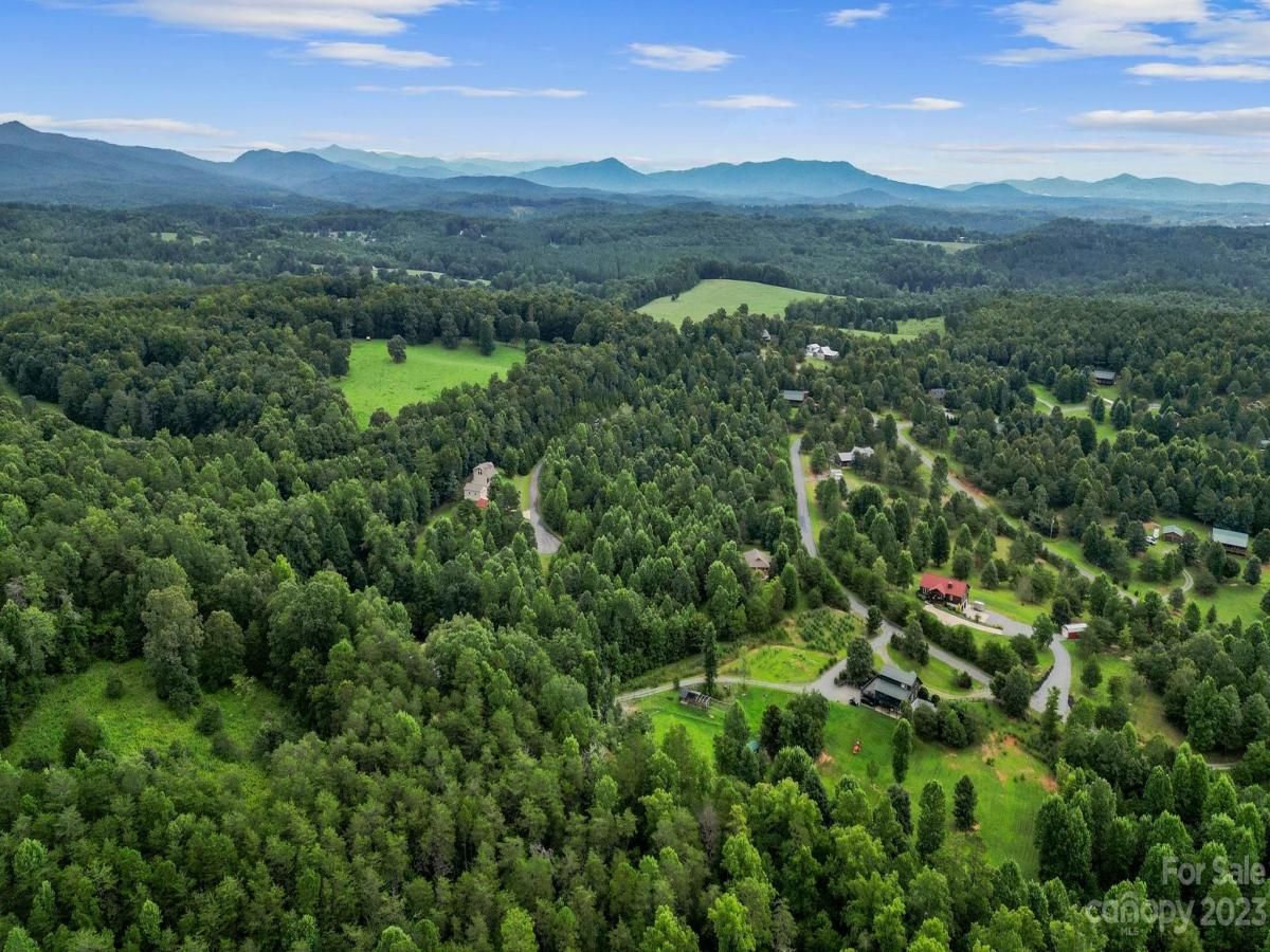 MLS #CAR4070132 image #10