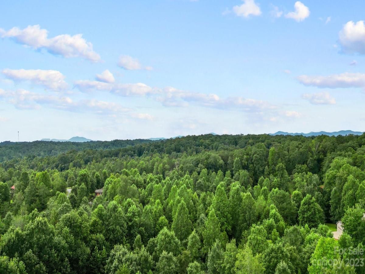 MLS #CAR4070132 image #14