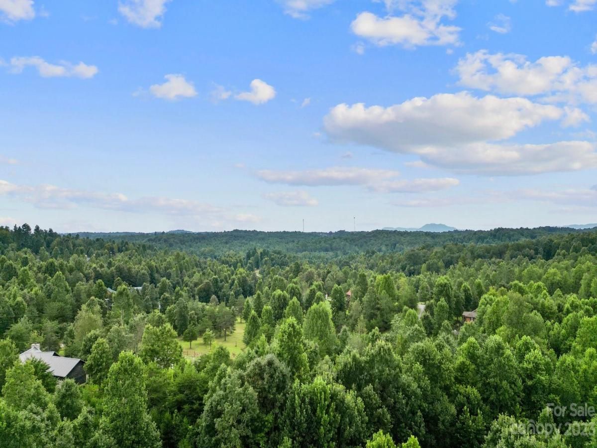 MLS #CAR4070132 image #15